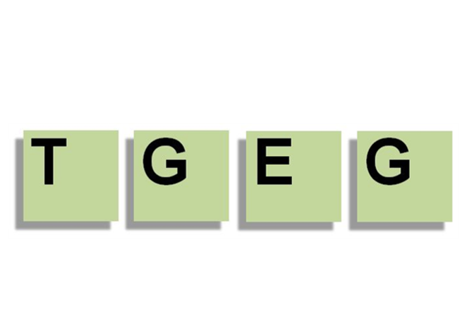 TGEG Technischer Groß- & Einzelhandel Gaida e.K. Logo – Sponsor des MakerSpace Schwerte